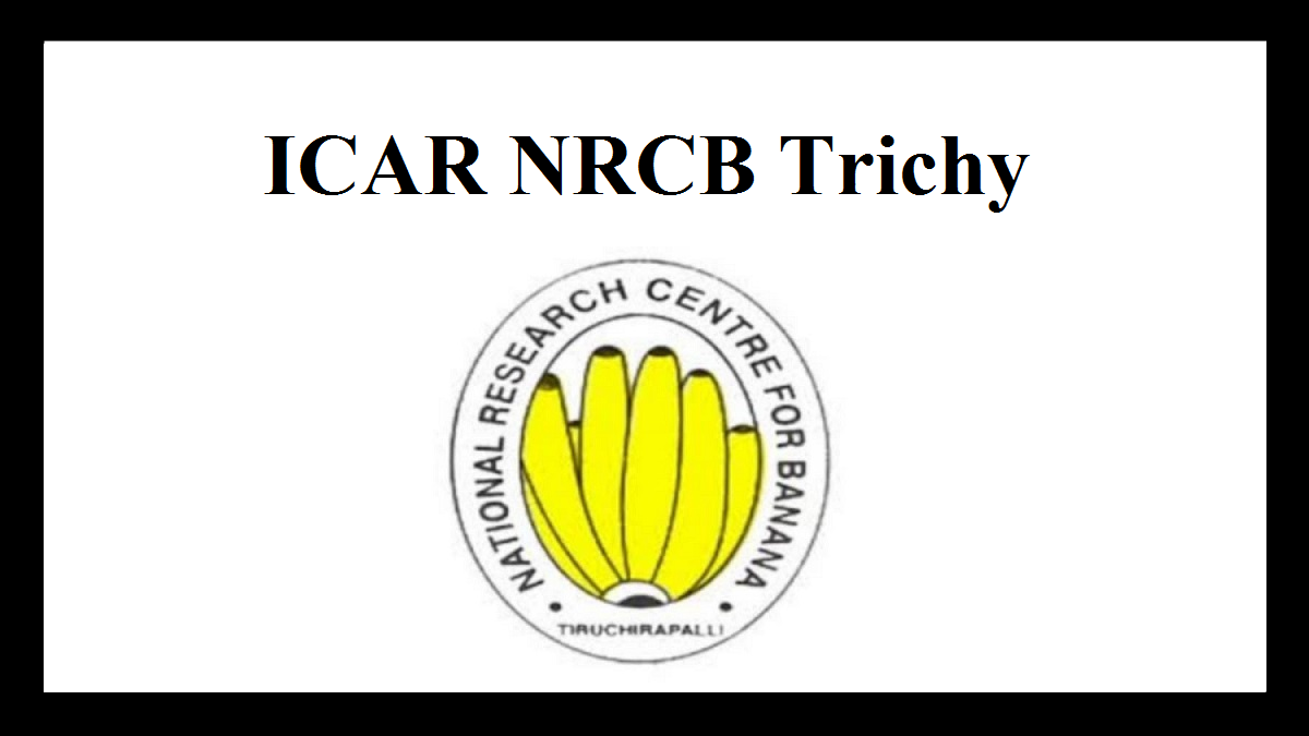 Read more about the article ICAR NRCB திருச்சி வேலைவாய்ப்பு 2024, 11 Apprentice பணியிடங்கள் உள்ளன